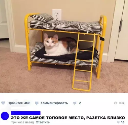 Смешная картинка №289639