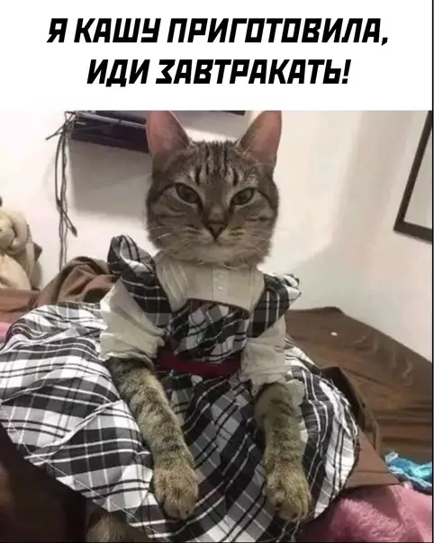 Смешная картинка №584399