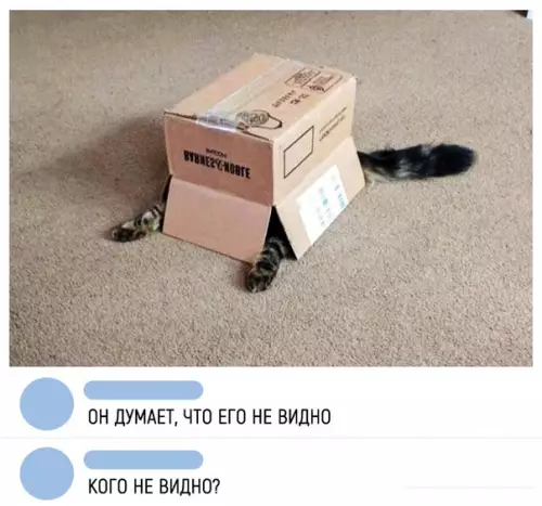 Смешная картинка №284654 коты