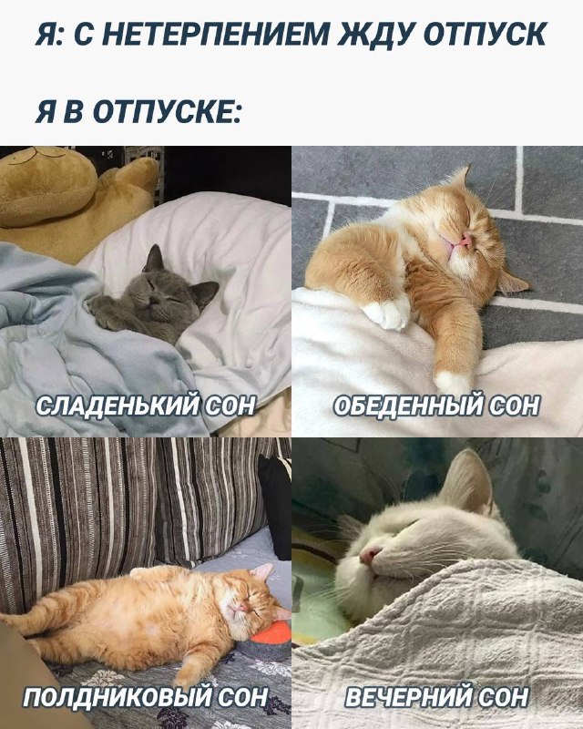 Мемы картинки 2016