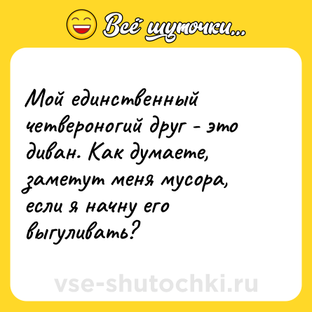Шутка: Мой единственный четвероногий друг - это диван. Как думаете, заметут меня мусора, если я начну его выгуливать?