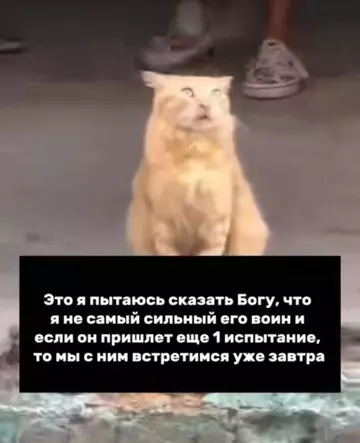 Смешная картинка №746798 Сильно на меня не рассчитывай