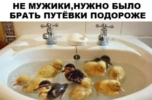 Смешная картинка №304574