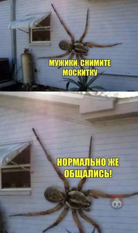 Смешная картинка №613067 Обычный день в Австралии ?