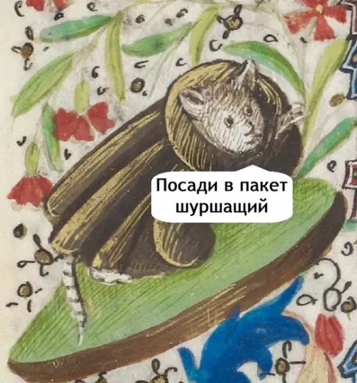 Смешная картинка №759259 Позови кота с собой...