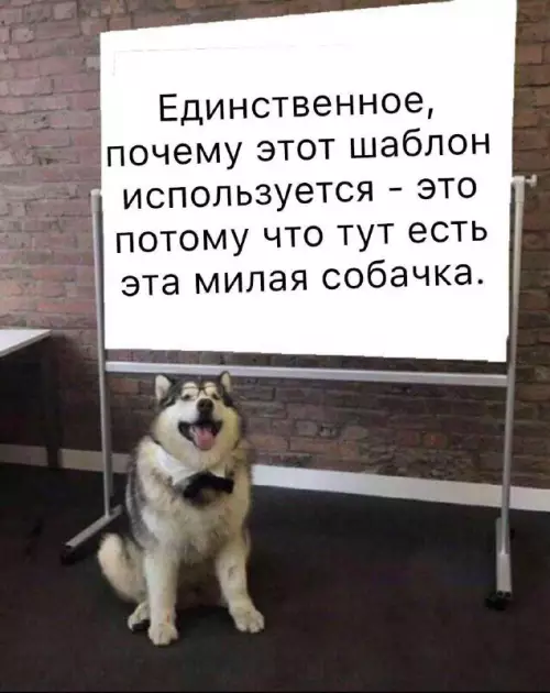 Смешная картинка №698859