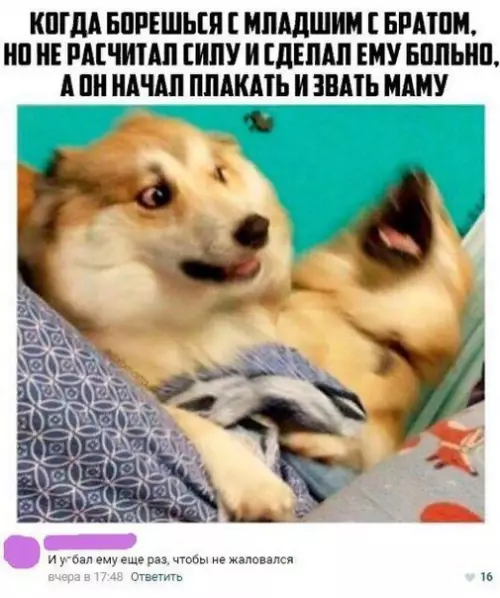 Смешная картинка №213392