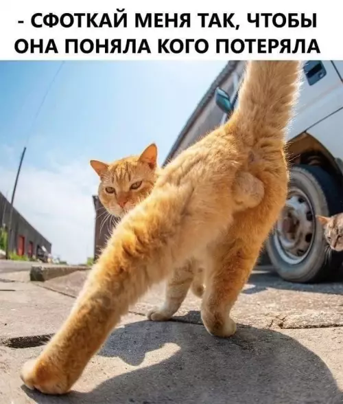 Смешная картинка №784083
