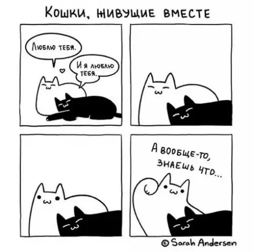 Смешная картинка №710102 коты, комиксы