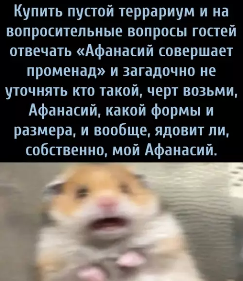 Смешная картинка №602345 A coбcтвeннo, кaкaя тeмпepaтypa кoтлa вaм пo дyшa?