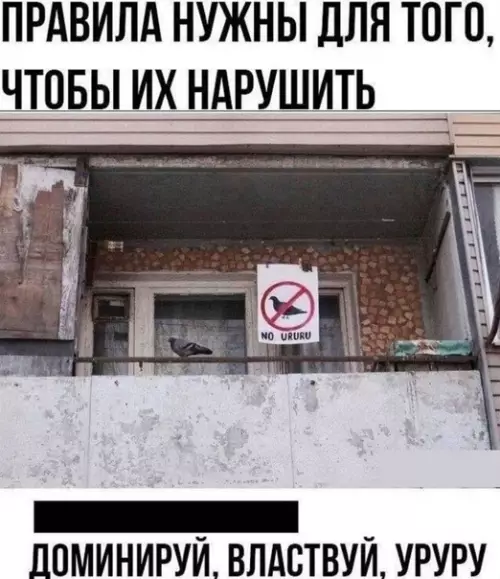 Смешная картинка №549335