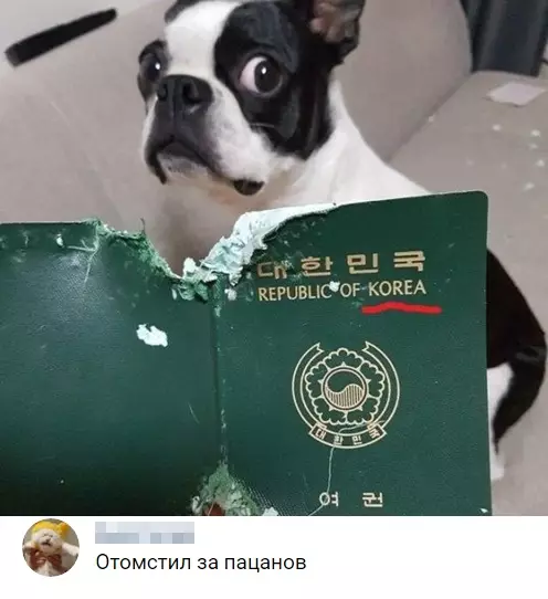Смешная картинка №316728