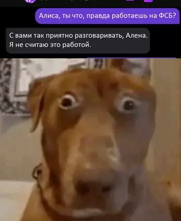 Смешная картинка №745605 Так, стоп