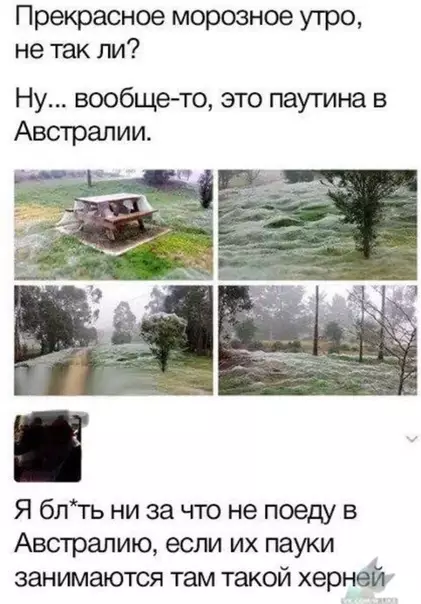 Смешная картинка №321454