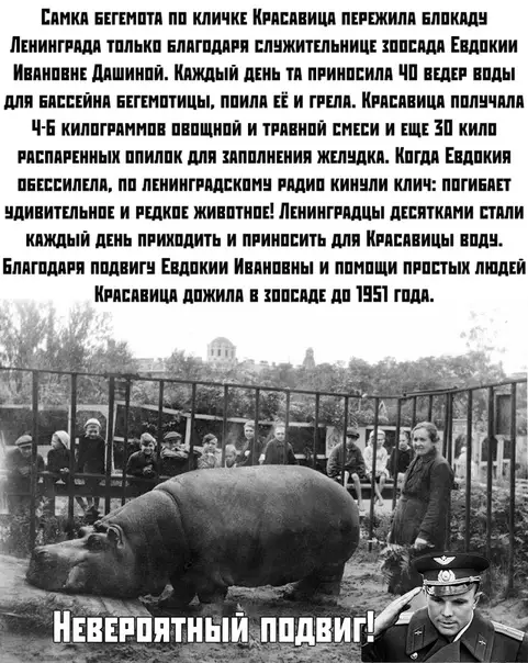 Смешная картинка №387409