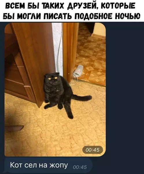 Смешная картинка №324396