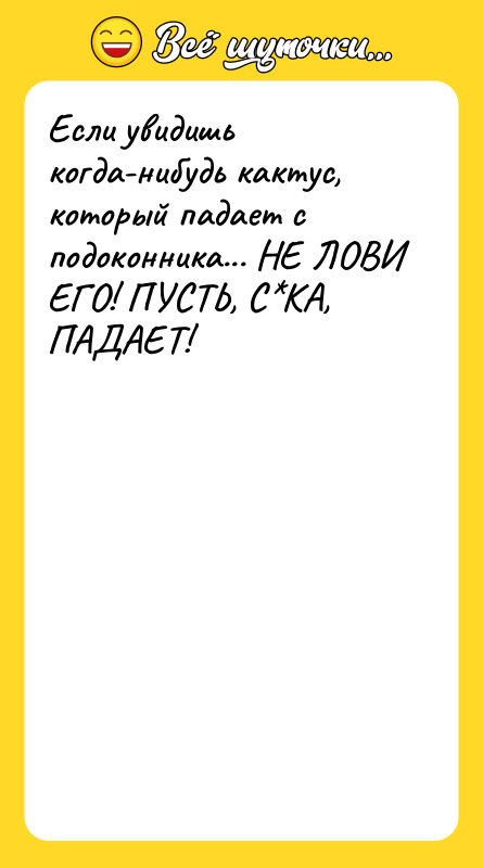Если увидишь когда-нибудь кактус, который падает с подоконника... НЕ ЛОВИ