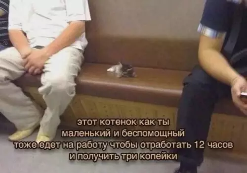 Смешная картинка №782769