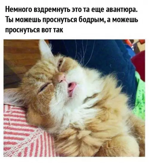 Смешная картинка №222586