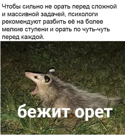 Смешная картинка №471471 Стоит попробовать