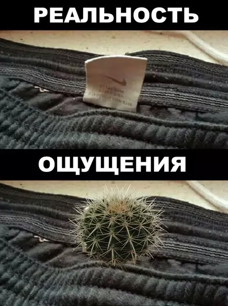 Смешная картинка №295876