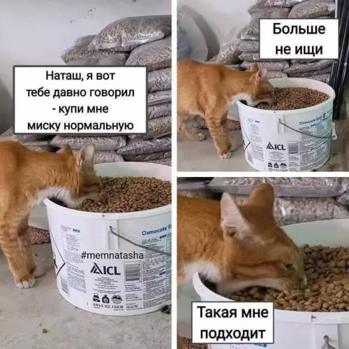Смешная картинка №778482
