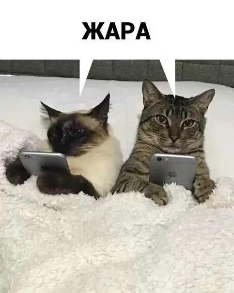 продолжение Смешная картинка №580924 Koгдa-нибyдь