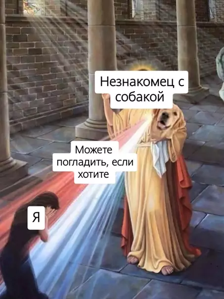 Смешная картинка №541613