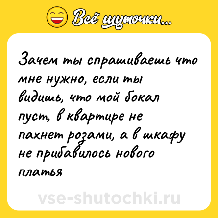 Шутка: Зачем ты спрашиваешь что мне нужно, если ты видишь, что мой бокал пуст, в квартире не пахнет розами, а в шкафу не прибавилось нового платья