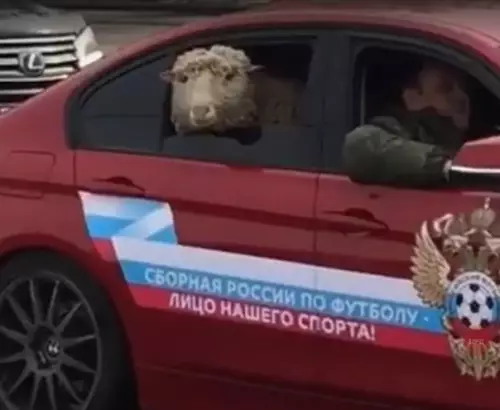 Смешная картинка №266145 Коротко о спорте в России: Сборная россии