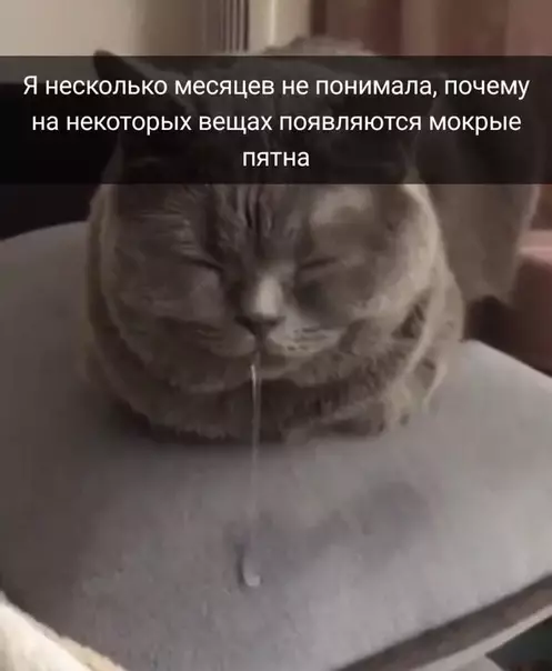 Смешная картинка №522815