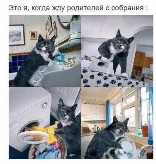 Смешная картинка №185345