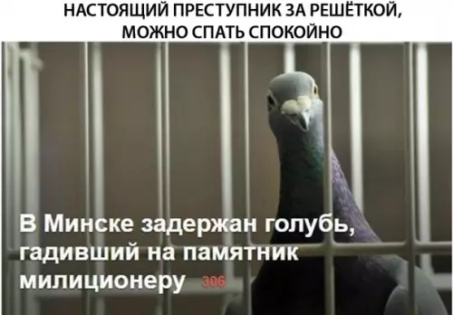 Смешная картинка №314504