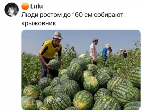 Смешная картинка №822676 Рост