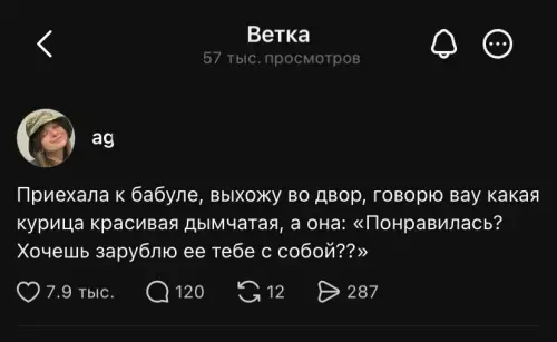 Бабуля знает толк в подарках! 😂🐔 - Приехала к бабуле, выхожу во двор, говорю вау какая курица