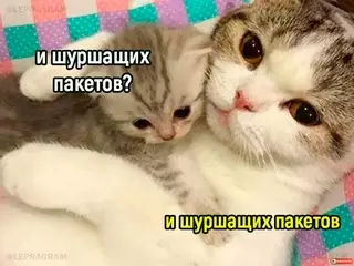 продолжение Смешная картинка №717125