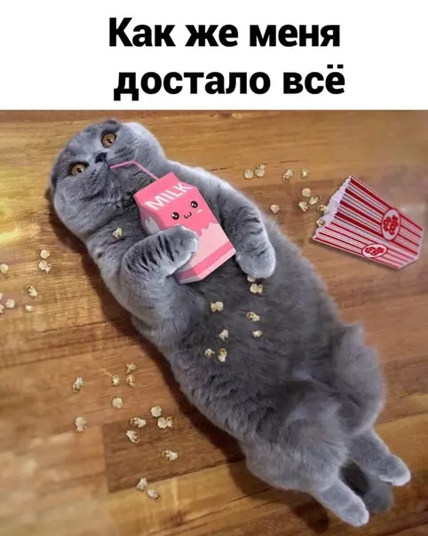 Смешная картинка №530873
