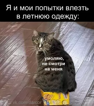 Смешная картинка №762586