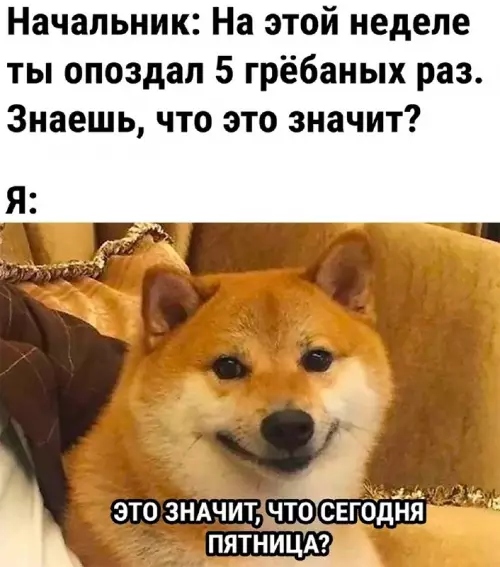 Смешная картинка №712865