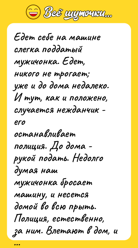 Едет себе на машине слегка поддатый мужичонка. Едет, никого не