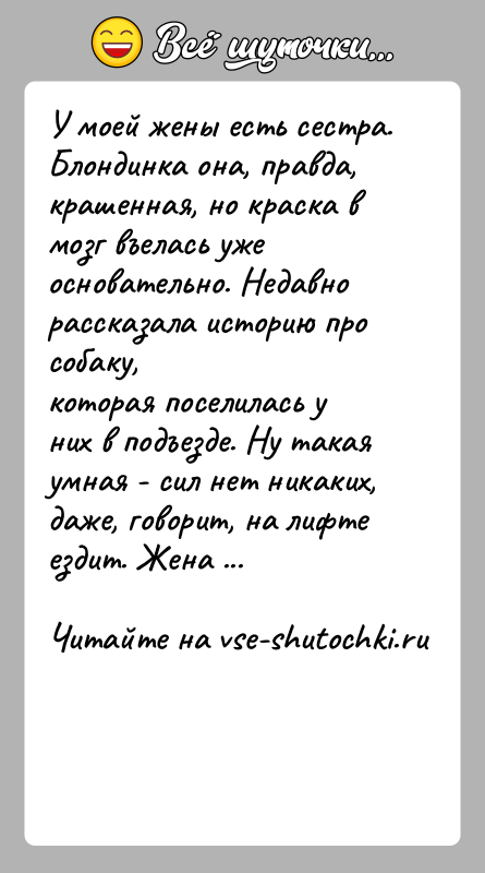 История: У моей жены есть сестра. Блондинка она, правда, крашенная, но краска вмозг въелась уже основательно. Недавно рассказала историю про собаку,которая