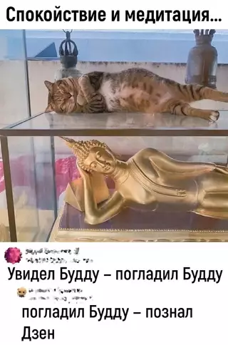 Смешная картинка №715931
