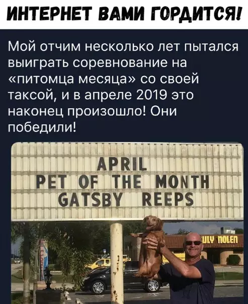 Смешная картинка №347978