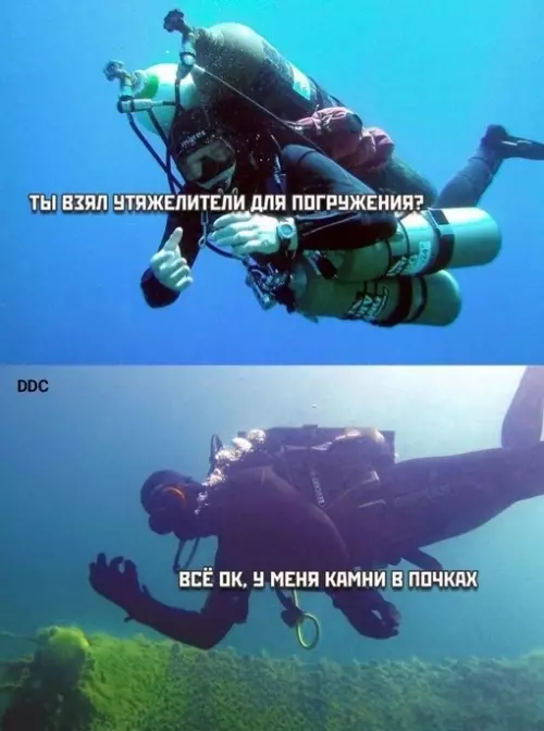 Смешная картинка №685328