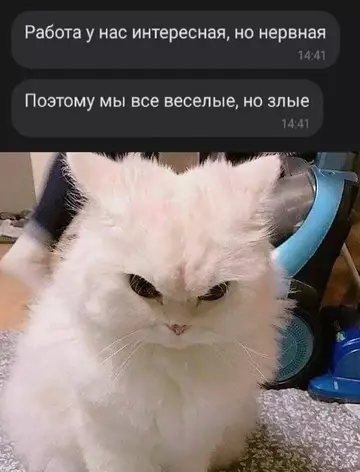 Смешная картинка №752974 Это норма работа