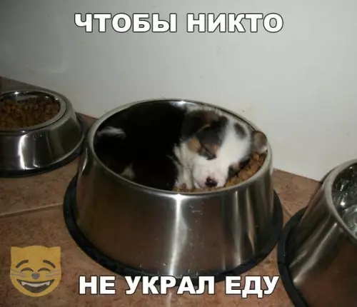Смешная картинка №334925 #приколы #картинки #мемы ?