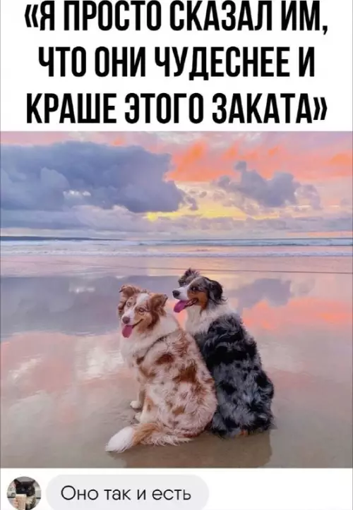 Смешная картинка №675549