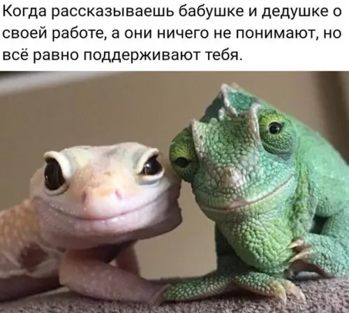 Смешная картинка №383881 Милота