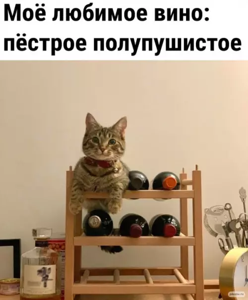 Смешная картинка №640449 коты, кошки