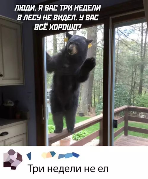 Смешная картинка №488397